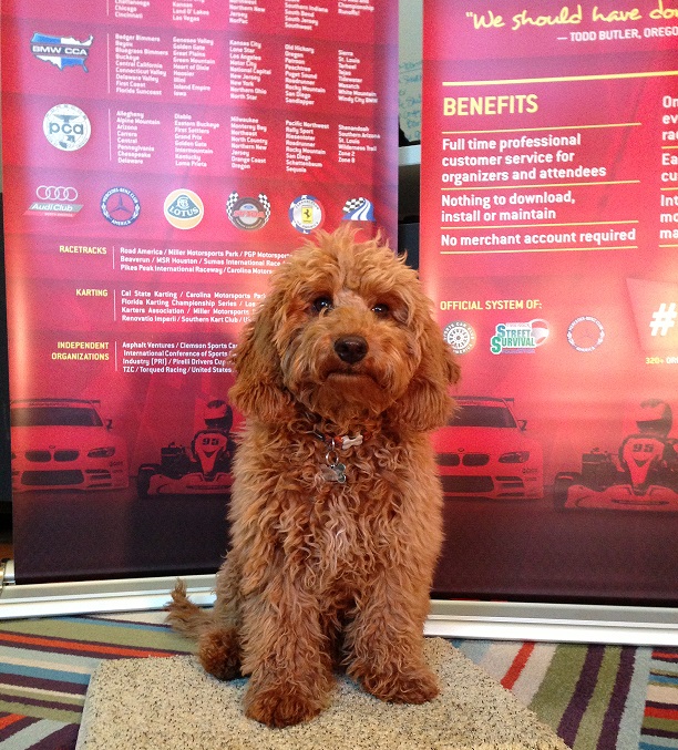Hattie, HR Director